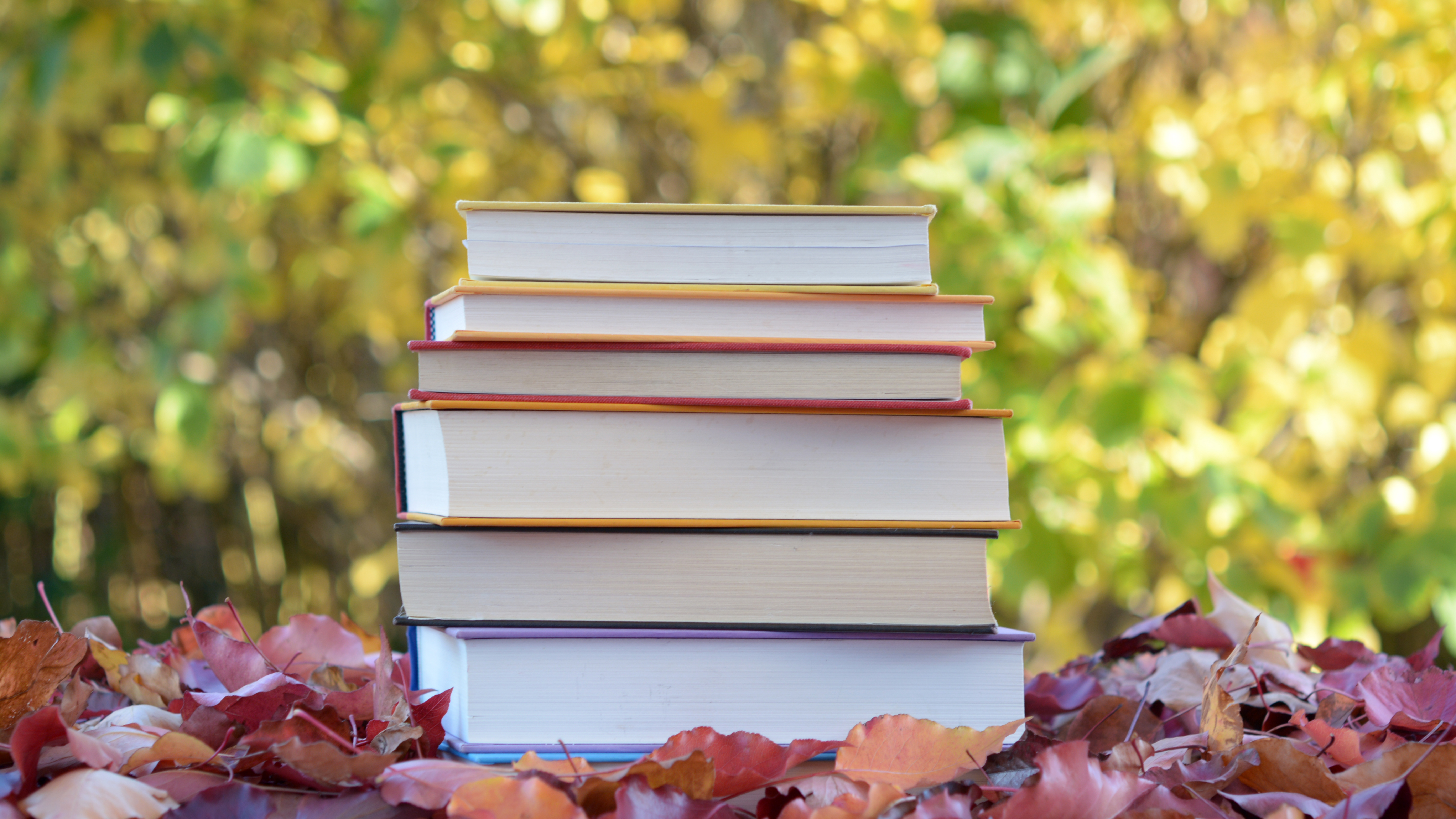Build Book Buzz in 7 Days